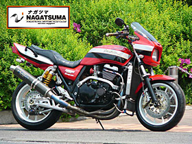 ZRX1100